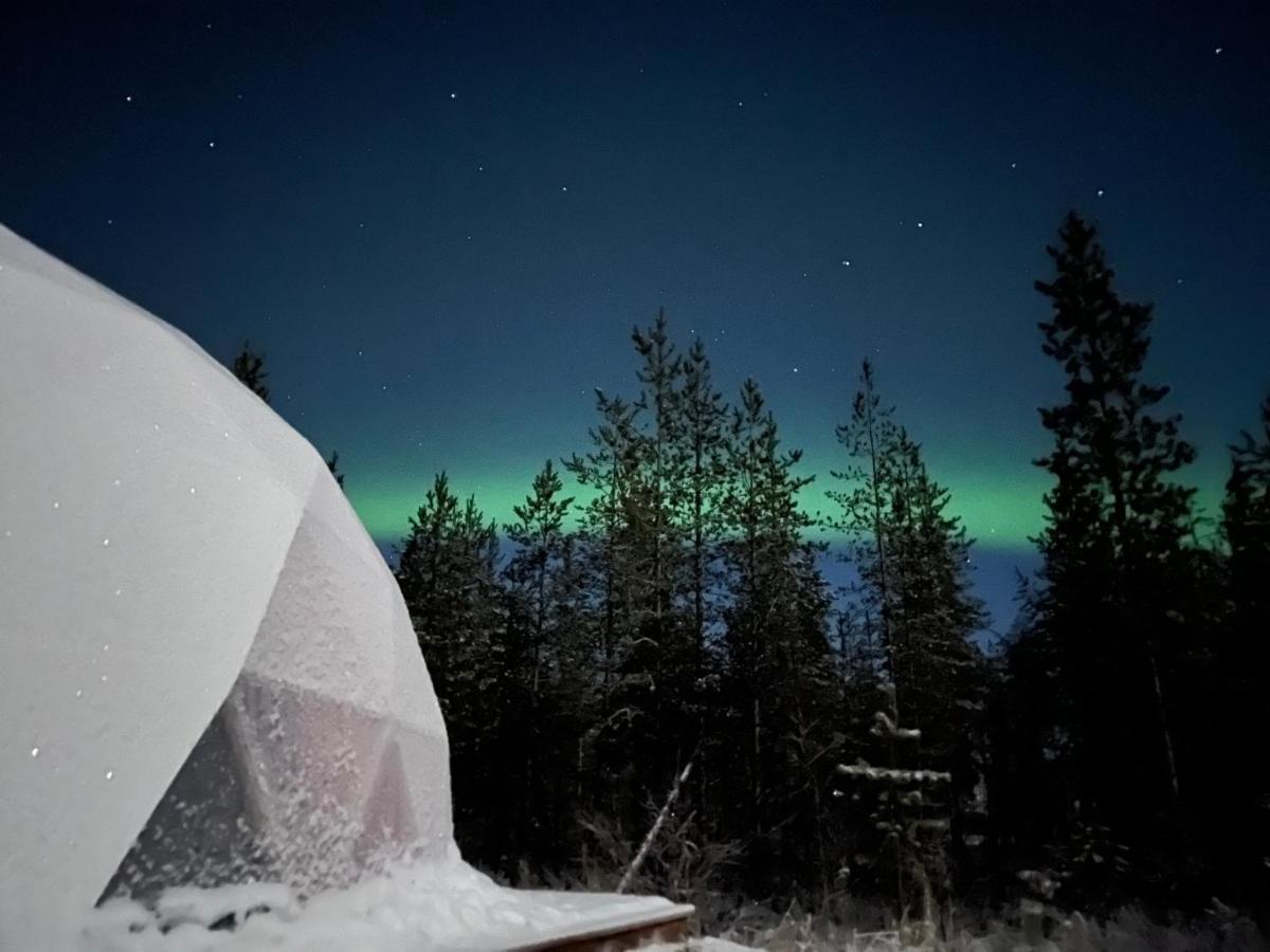 Aurora Igloo Fireplace-Heated Tents In A Secret Forest With Private Jacuzzi And Shared Sauna Bathroom And Dog Friendly Rovaniemi Eksteriør billede