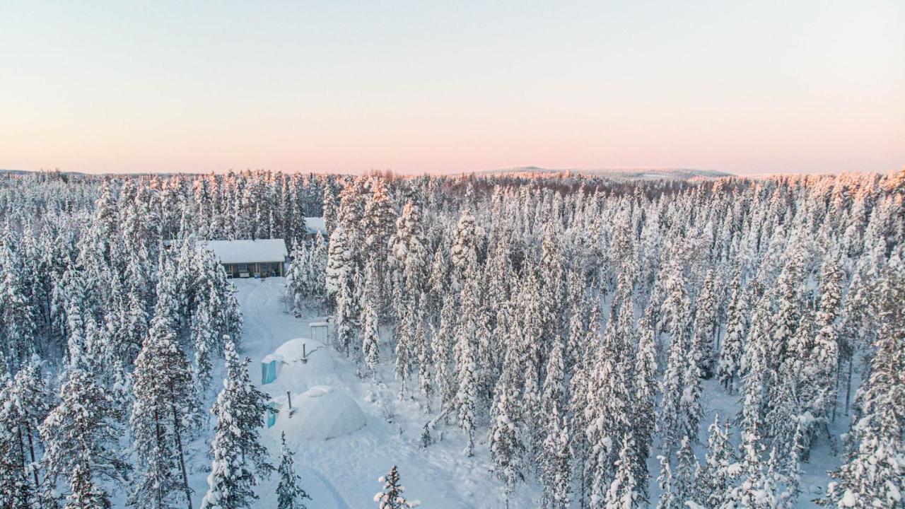 Aurora Igloo Fireplace-Heated Tents In A Secret Forest With Private Jacuzzi And Shared Sauna Bathroom And Dog Friendly Rovaniemi Eksteriør billede