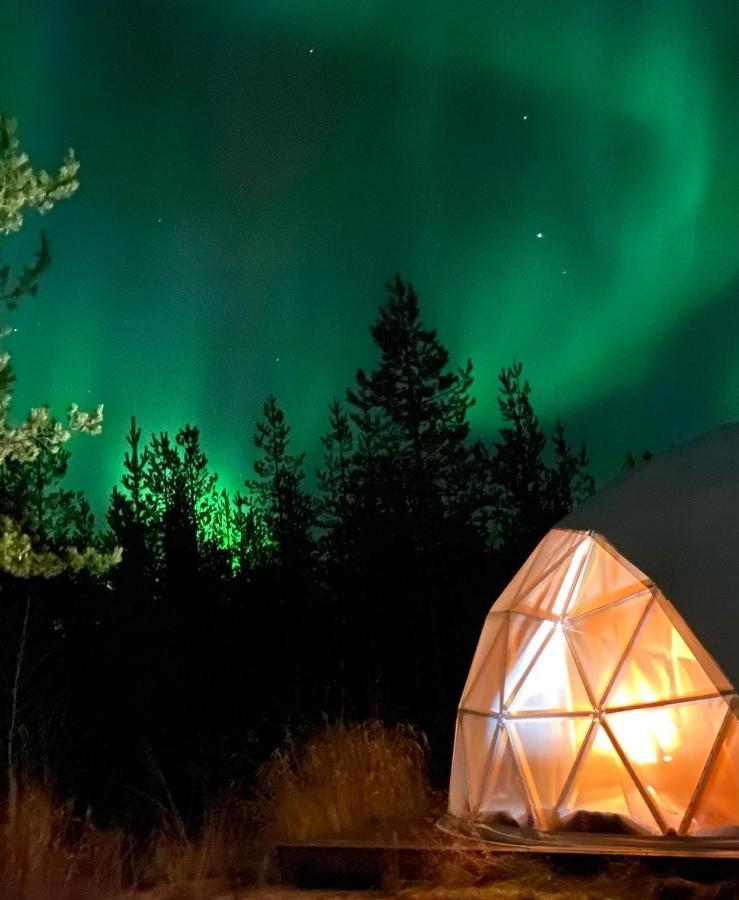 Aurora Igloo Fireplace-Heated Tents In A Secret Forest With Private Jacuzzi And Shared Sauna Bathroom And Dog Friendly Rovaniemi Eksteriør billede