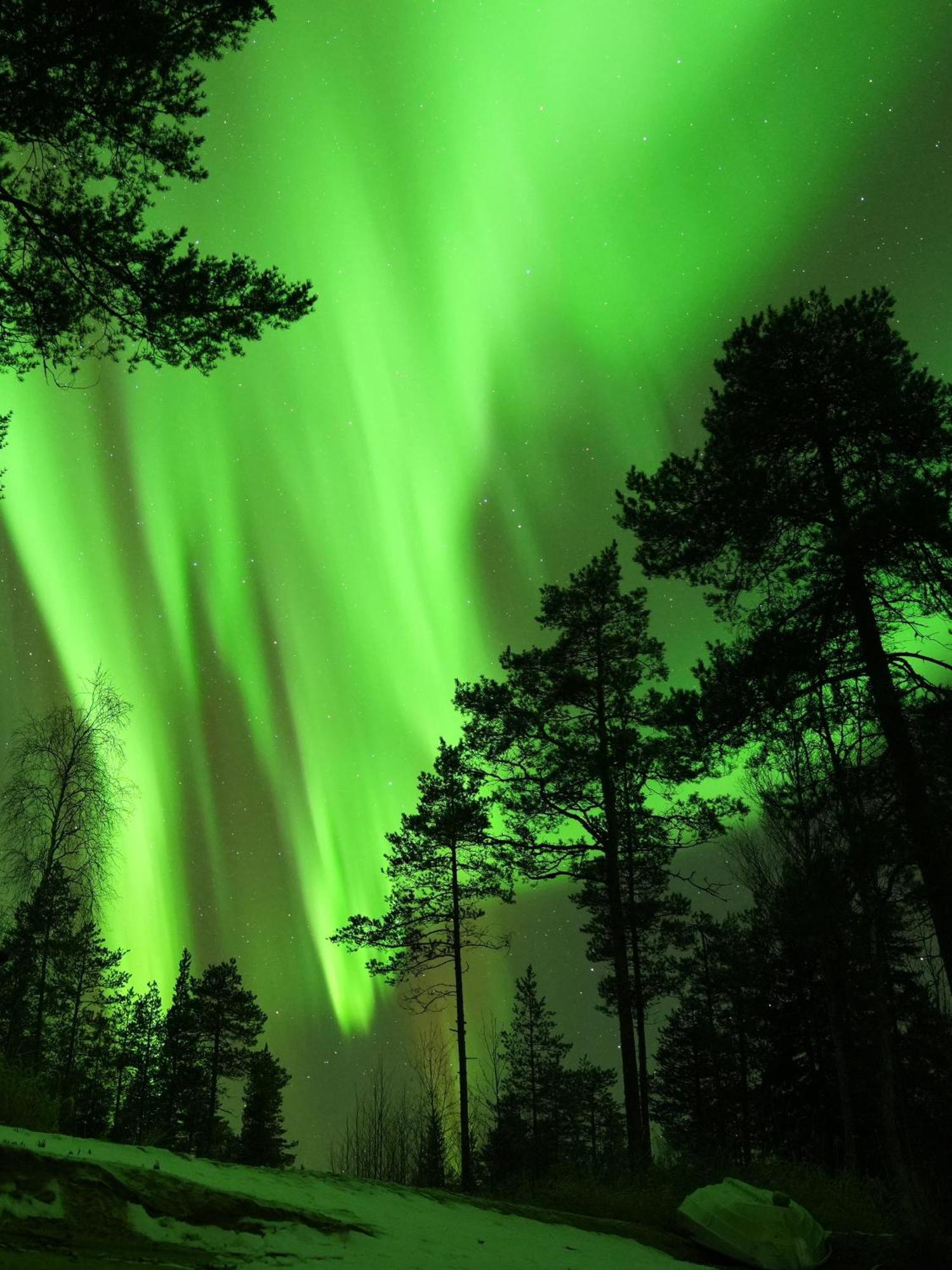 Aurora Igloo Fireplace-Heated Tents In A Secret Forest With Private Jacuzzi And Shared Sauna Bathroom And Dog Friendly Rovaniemi Eksteriør billede