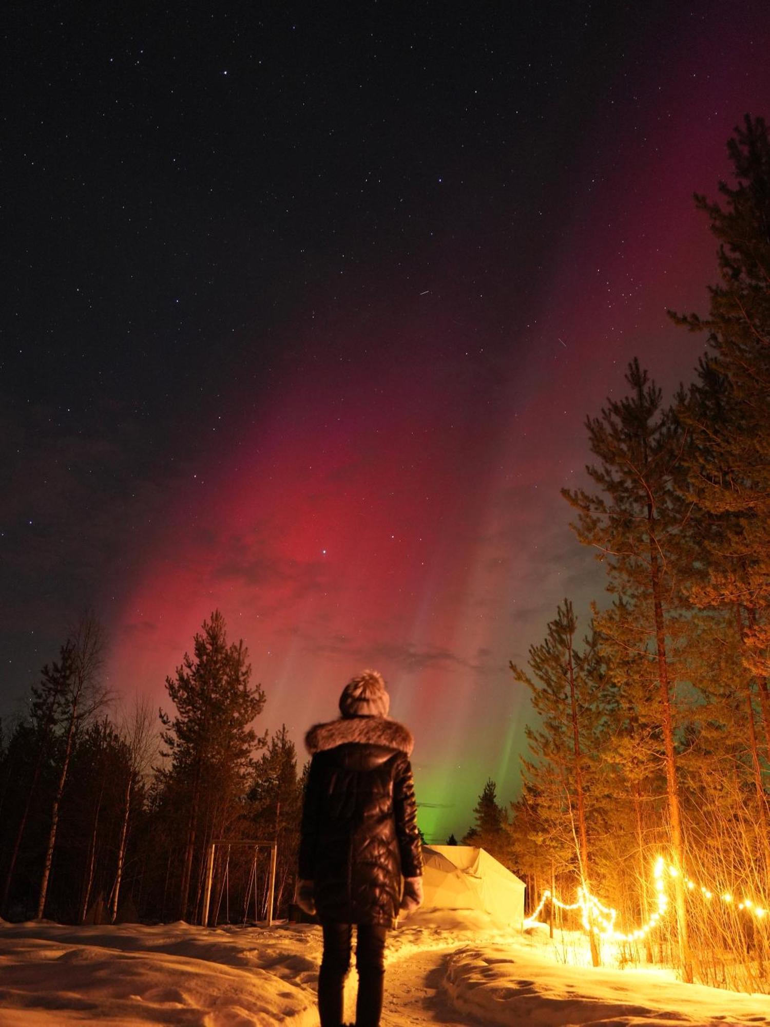 Aurora Igloo Fireplace-Heated Tents In A Secret Forest With Private Jacuzzi And Shared Sauna Bathroom And Dog Friendly Rovaniemi Eksteriør billede